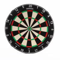 Precise 180 Endorphine Dartboard