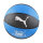 Puma TeamJAWS Basketballball