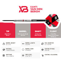 BULLS Xanti Van den Bergh Steel Dart