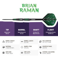 BULLS Brian Raman G2 Steel Dart