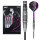 One80 Jelle Klaasen V3 Steeltip