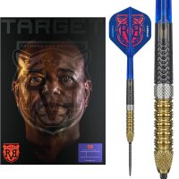 Target Raymond Van Barneveld GEN6 Swiss Point Steeldarts