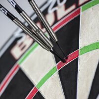 Bulls Dirk van Duijvenbode 90%