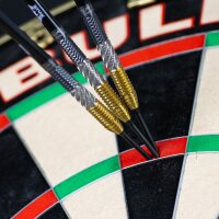 Bulls Dirk van Duijvenbode CP Steeltip 95%