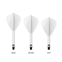 Shot Flight Deck Kite