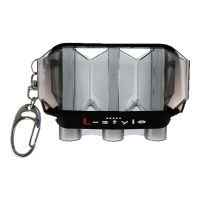 L-Style Krystal Clear Black Flight Case - Dart Case