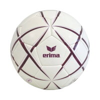 Erima Magic White Handball burgundy/lavender