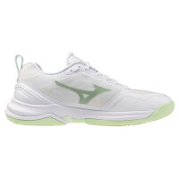 Mizuno Wave Stealth Elite Damen White/Aqua Gray