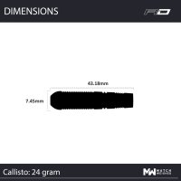 Winmau Callisto 03 90% Steeltip
