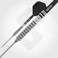 Red Dragon SwitchPoint Steeldart Gian Van Veen 21g