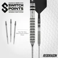 Red Dragon SwitchPoint Steeldart Gian Van Veen 21g